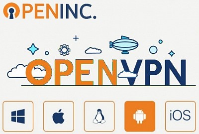 OpenVPN , V2ray , Cisco